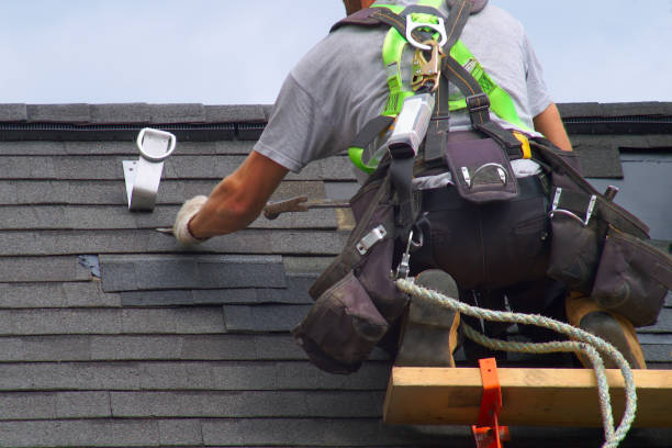 Siding in Lacey, WA